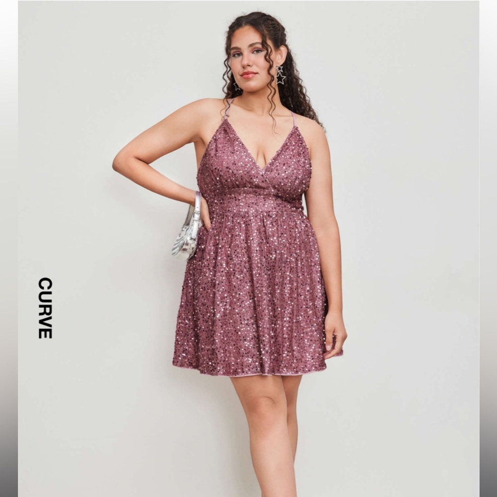 Cider Pink Sequin dress plus size